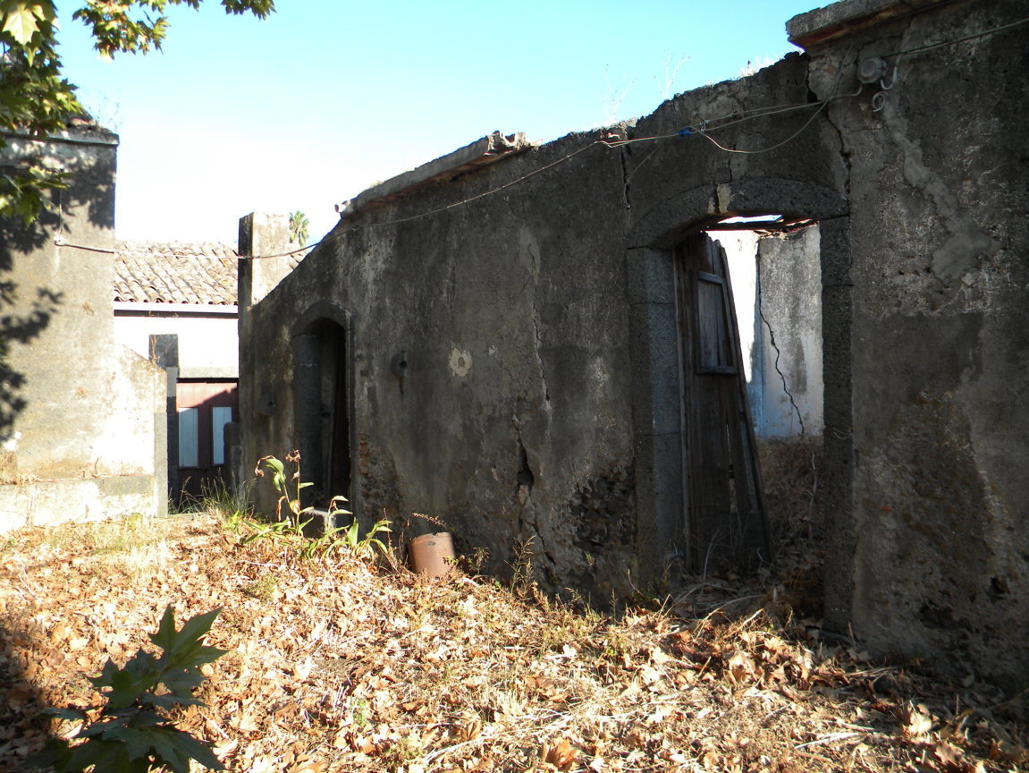 DSCN7990 .JPG